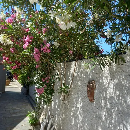 アパート Sosorides 43 Mykonos Town